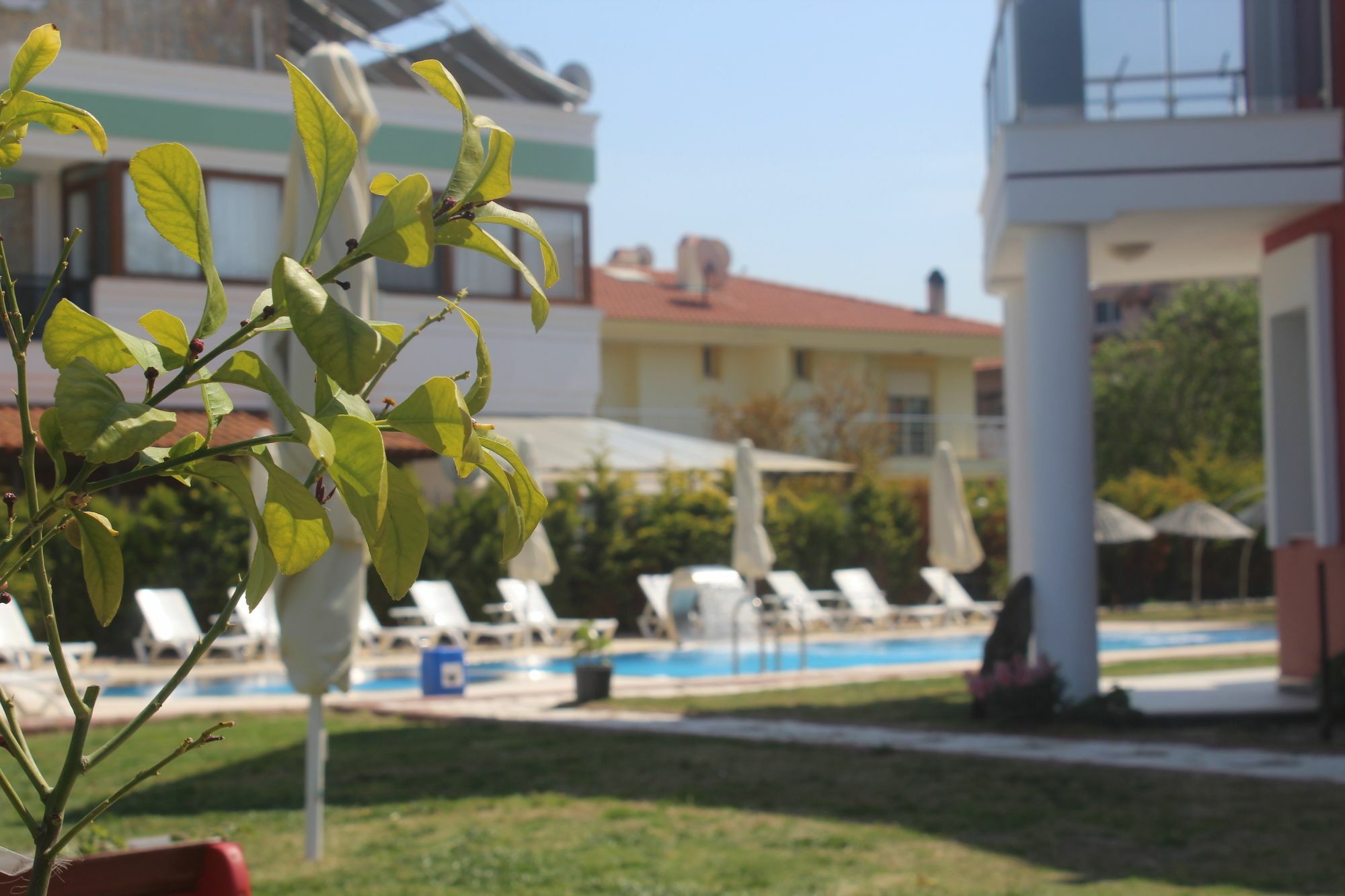 Cilek Butik Hotel Çeşme Εξωτερικό φωτογραφία